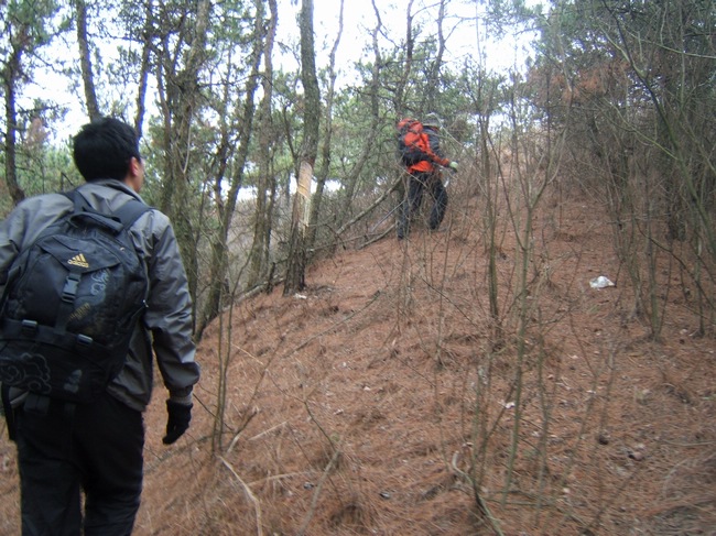 dscf6233.jpg
