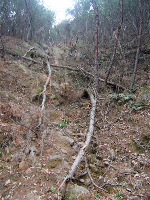 dscf6240.jpg