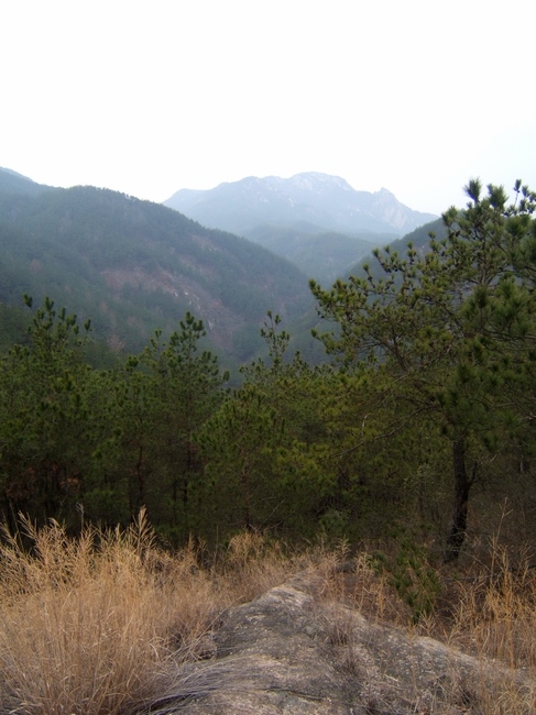 dscf6244.jpg