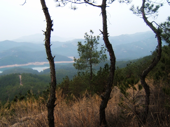 dscf6193.jpg