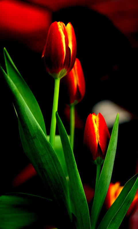 _dsc0188.jpg