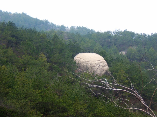 dscf6277.jpg