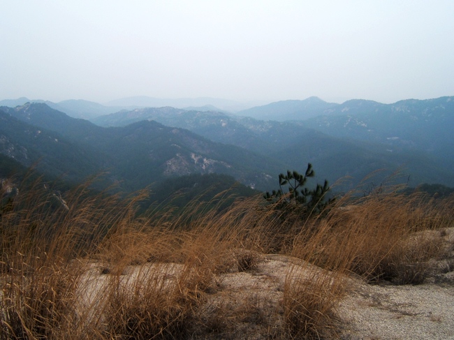 dscf6285.jpg
