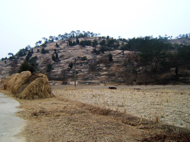 dscf6295.jpg