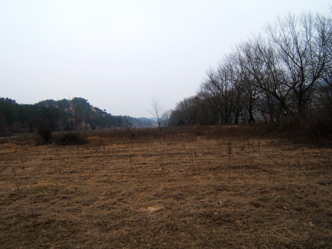 dscf6300.jpg