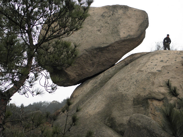 p2043239.jpg