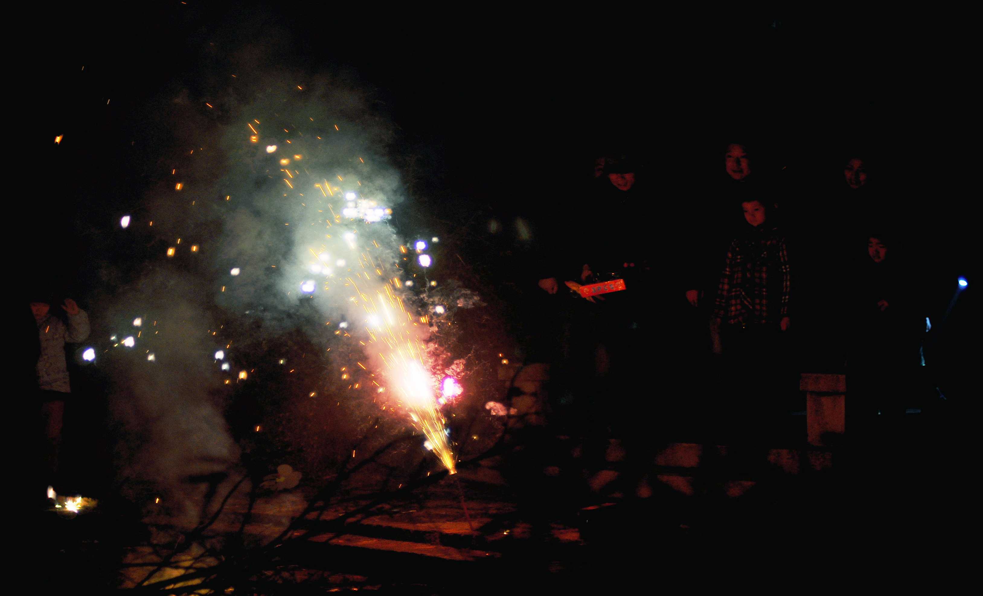 dsc_1395.jpg