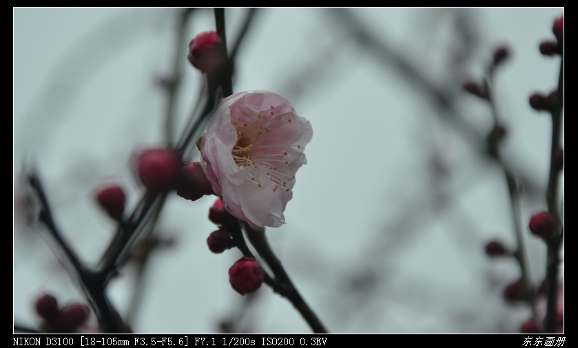 2012.2.6÷԰20.jpg