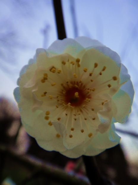 dsc03764.jpg