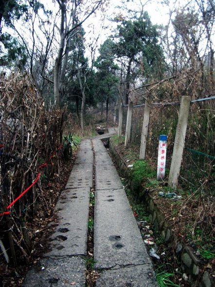 dscf0221.jpg