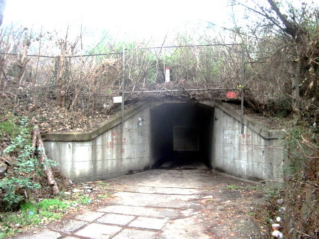 dscf0222.jpg