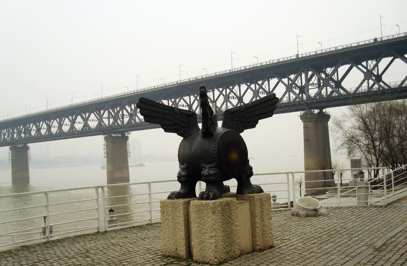 31 255.jpg