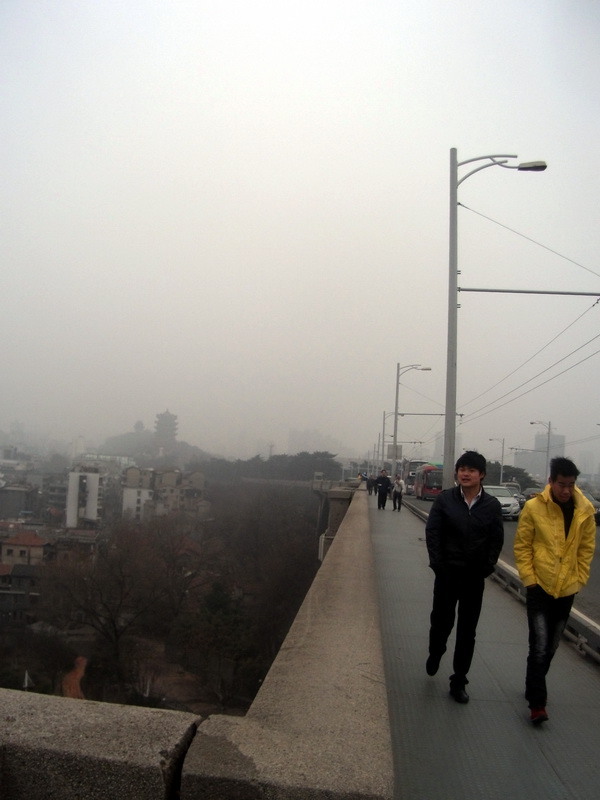 dscf0230.jpg