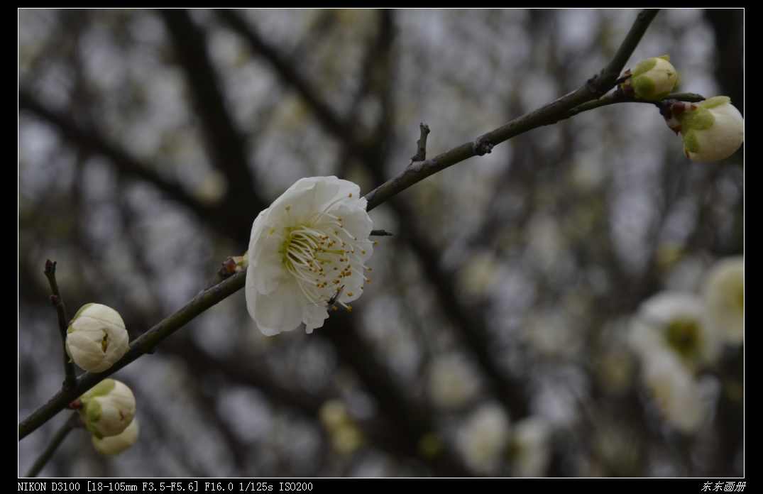 dsc_4629.jpg