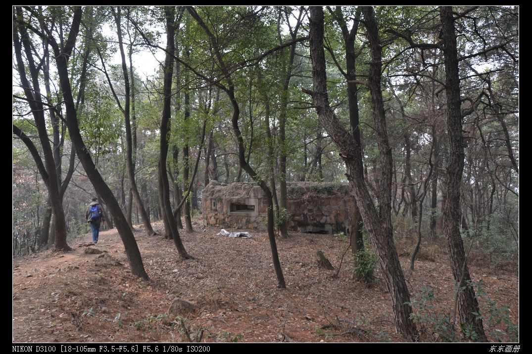 dsc_4756.jpg