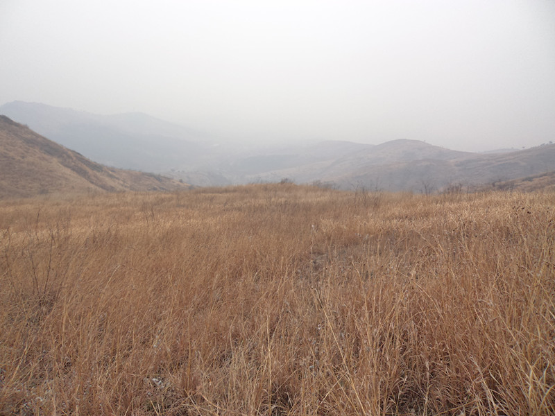 dsc00652_.jpg