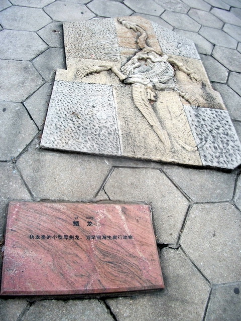 dscf0113.jpg