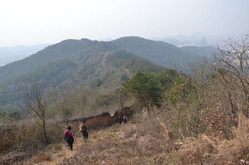 2012.2.18082.jpg
