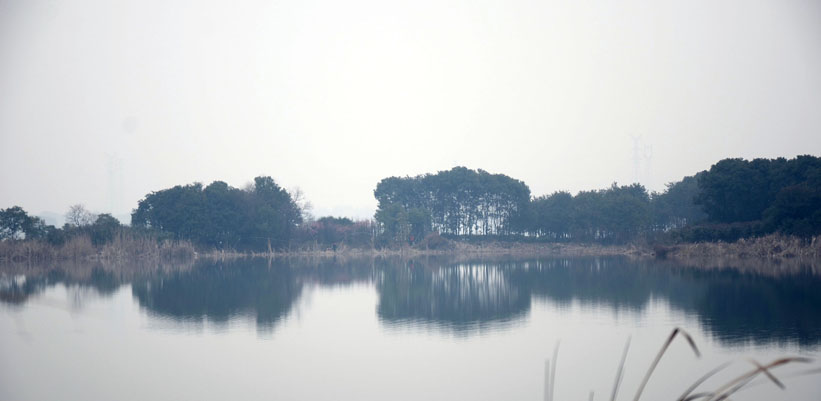 dsc_6245.jpg