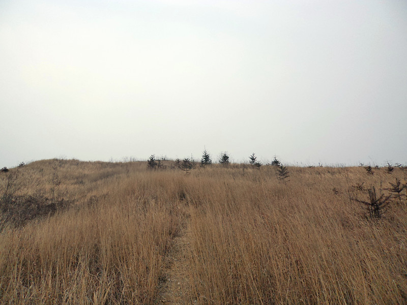 dsc00630_004.jpg