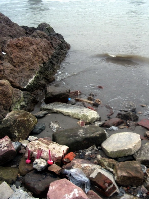 dscf0260.jpg