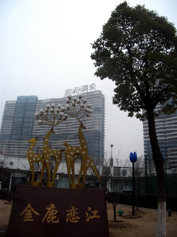 dscf0273.jpg
