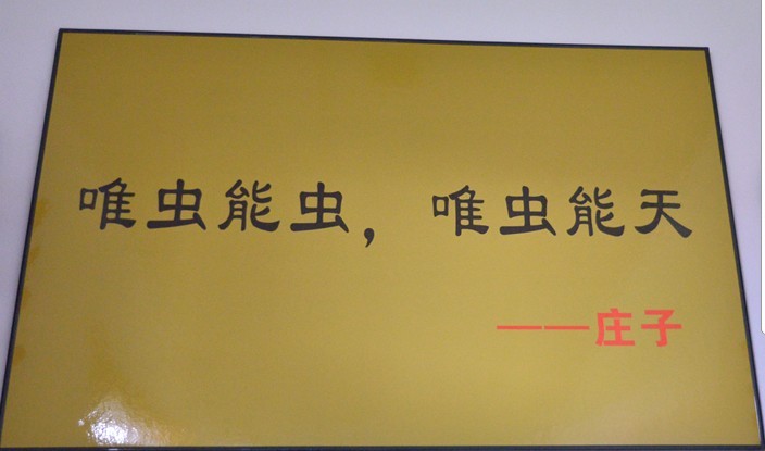 δ1.jpg