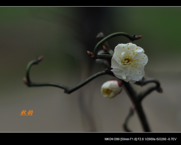 dsc_0123pp.jpg