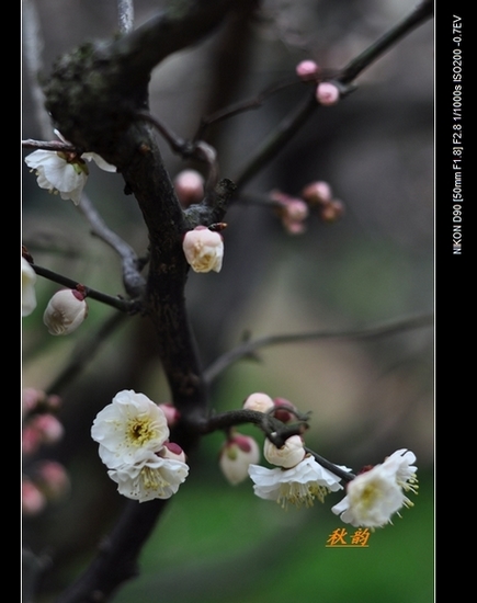dsc_0146ppp.jpg