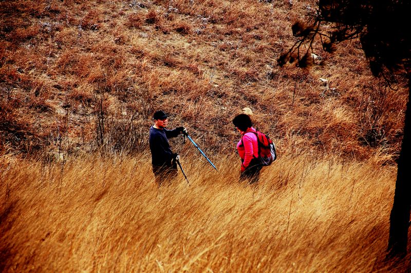 _mg_8892.jpg