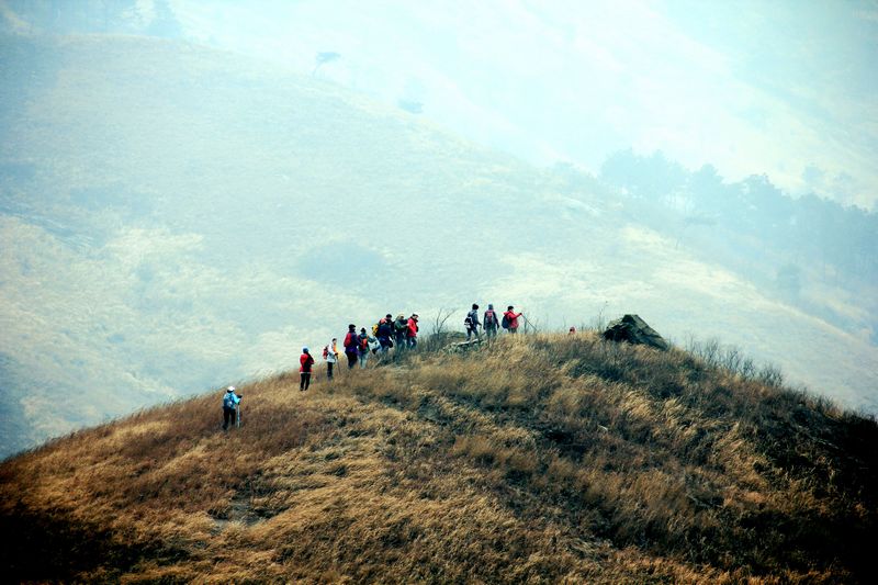 _mg_8934.jpg