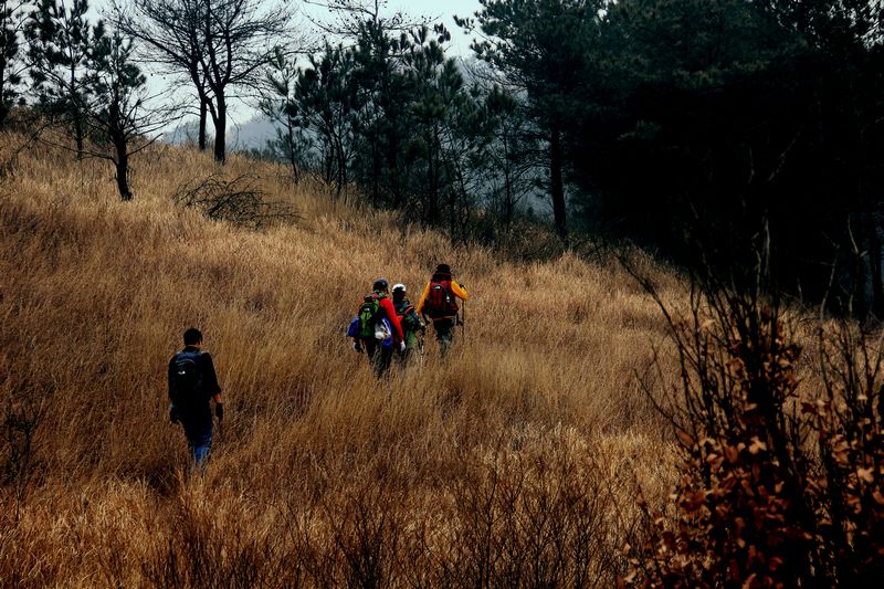 _mg_9198.jpg