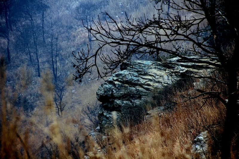 _mg_9246.jpg