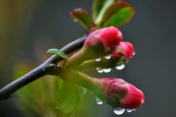 dsc_4335-7.jpg
