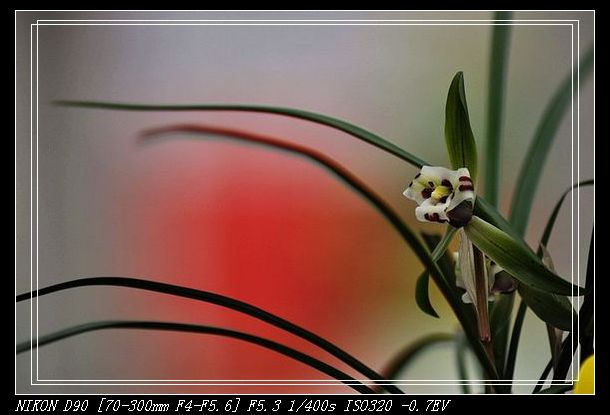 dsc_4276.jpg