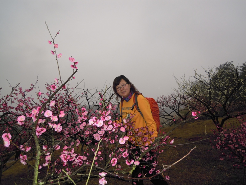 Ƭ 027.jpg