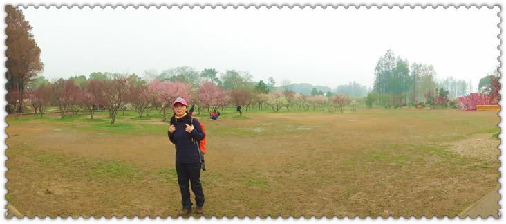 dsc05291_.jpg