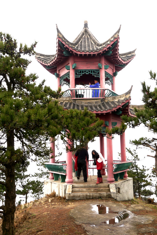 p1080493.jpg