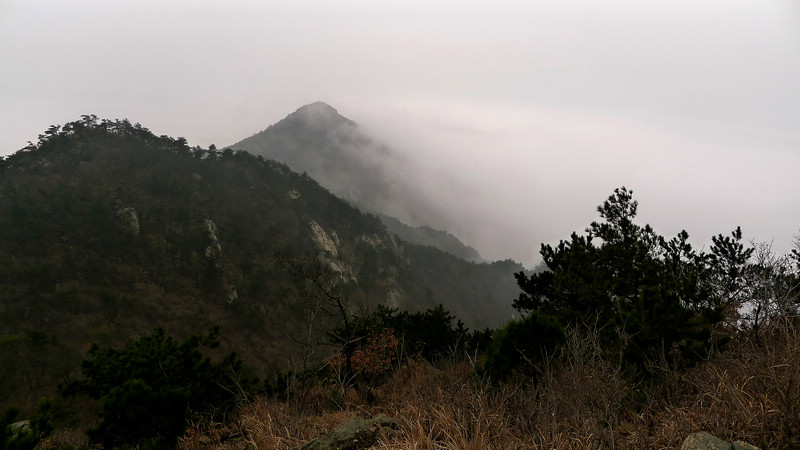 p1080490.jpg