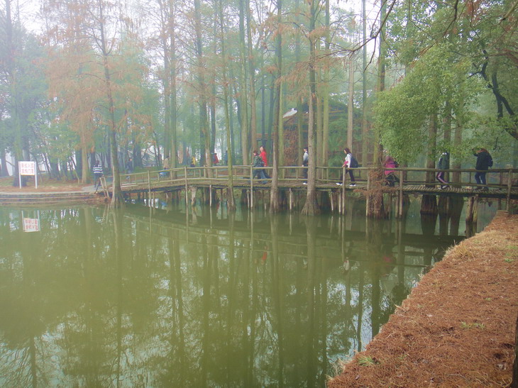 dsc05325.jpg