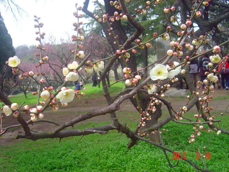 dsc03572_.jpg