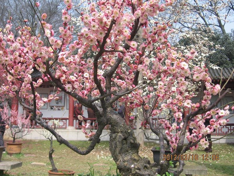 img_9878.jpg