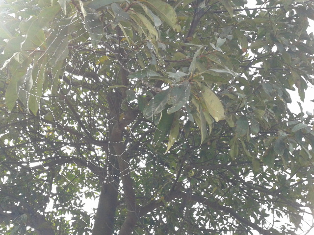 2012-03-18 10.53.43.jpg