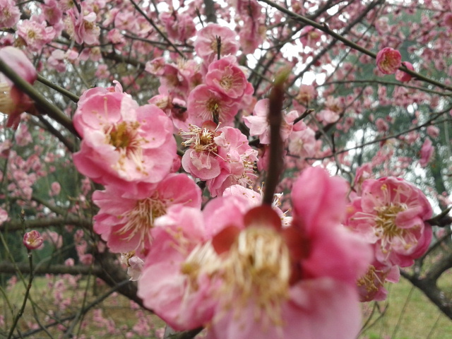 2012-03-18 10.16.41.jpg