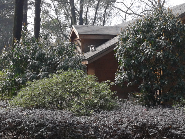 2012-03-18 11.29.47.jpg