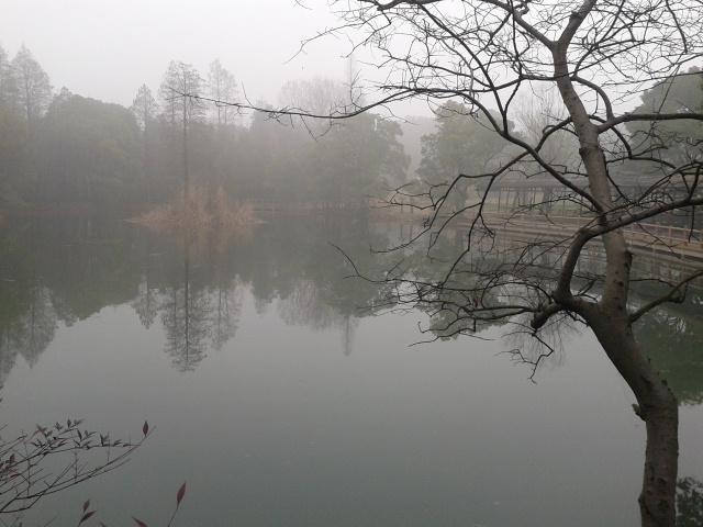2012-03-18 09.54.37.jpg