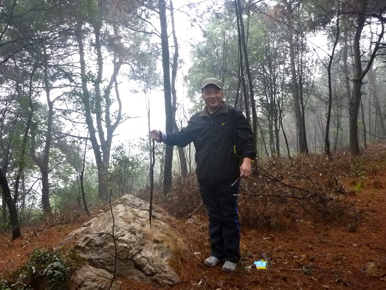 p1100774_.jpg