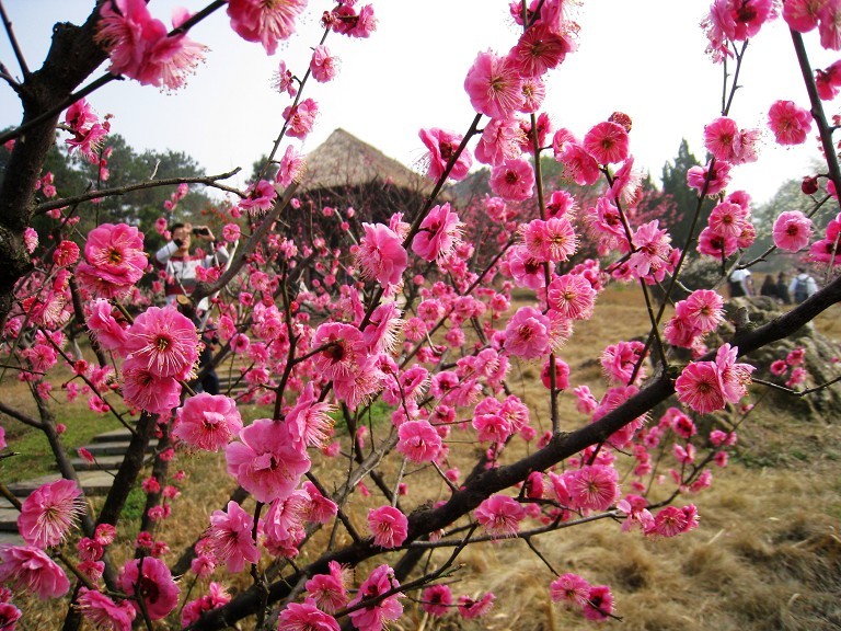 2012.3.18-29.jpg