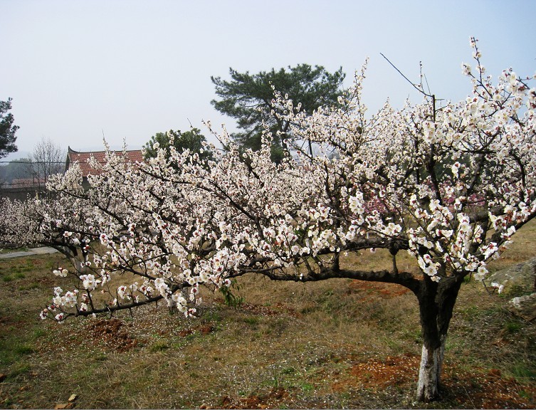 2012.3.18-31.jpg