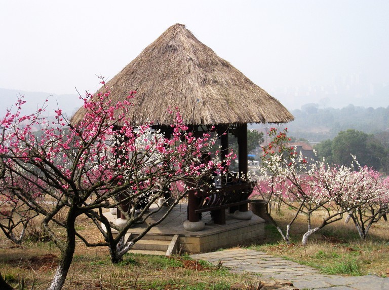 2012.3.18-32.jpg